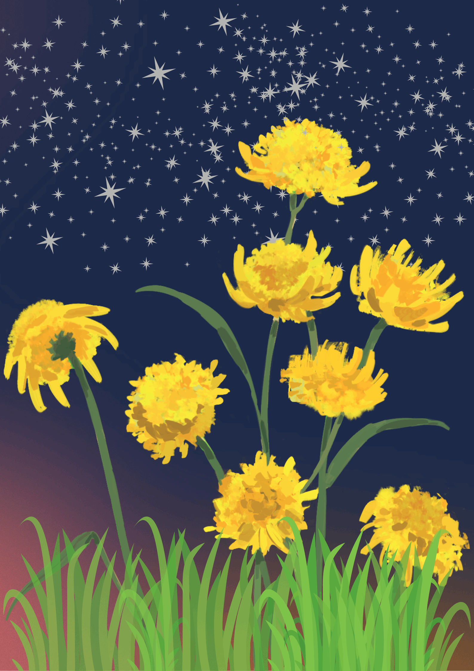 Dandelions Under Stars Wallpaper