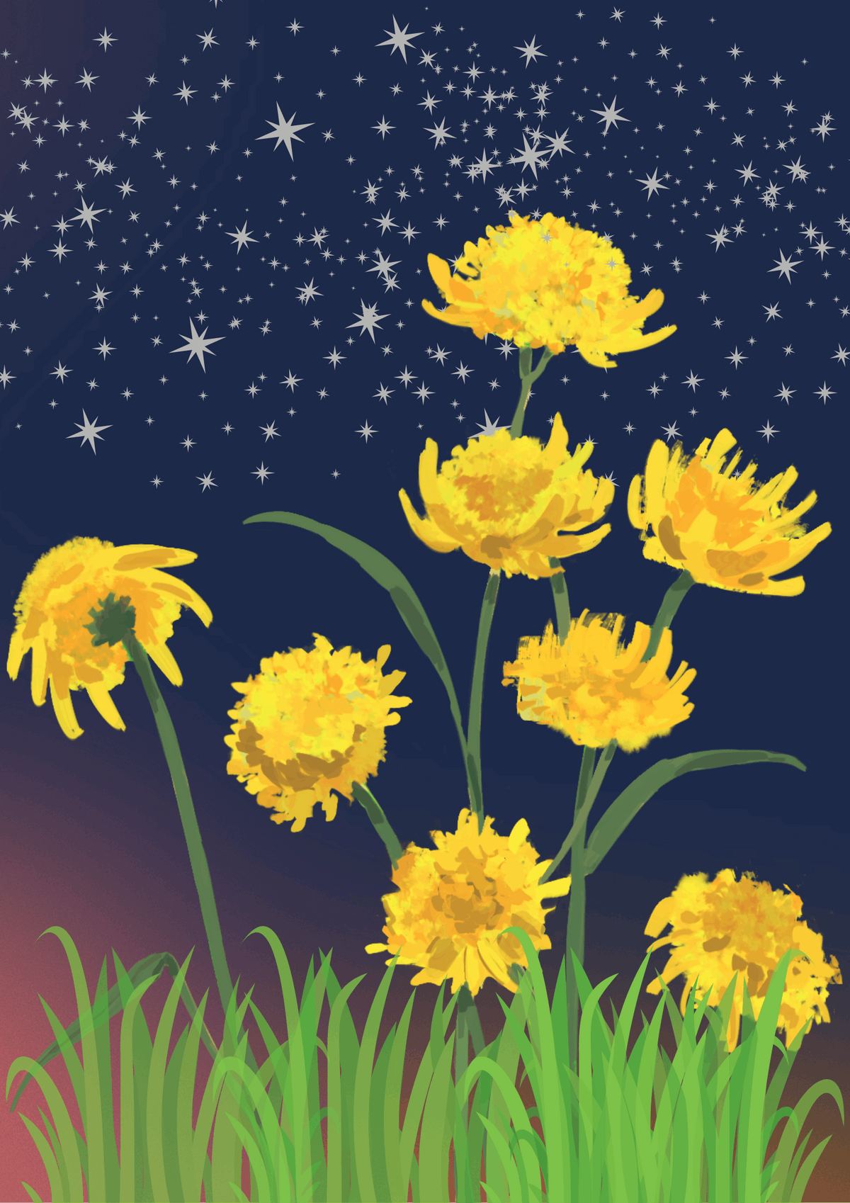 Dandelions Under Stars Wallpaper